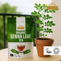 Ausha Organic Senna Tea 100g Laxative Tea For Constipation Relief UK Certified Organic By Soil Association, thumbnail 3 of 9