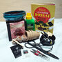 Master Bonsai Tree Starter Kit Bundle, thumbnail 1 of 9