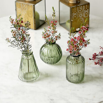 Forest Green Glass Bud Vases Set Of Three, 3 of 3