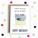 funny 40th birthday card by miümi cat | notonthehighstreet.com