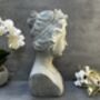 38cm Grey Female Bust Statue Elegant Lady Head Decor, thumbnail 3 of 12