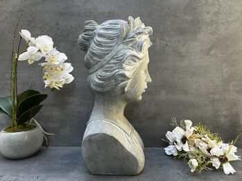 38cm Grey Female Bust Statue Elegant Lady Head Decor, 3 of 12