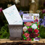 January Birth Flower Gift Set With Handmade Pot, thumbnail 1 of 3