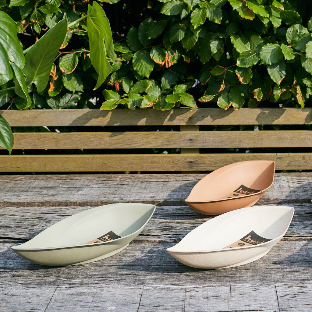 Image of Small Bamboo Seed Pod