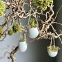 Hanging Eggs Filled With Muscari, thumbnail 5 of 8