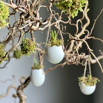 Hanging Eggs Filled With Muscari, 5 of 8