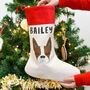 Personalised Cute Dog Christmas Stocking, thumbnail 10 of 12