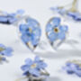 Forget Me Not Tear Drop Sterling Silver Earrings, thumbnail 2 of 5