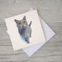 Illustrated Cat Greetings Card, thumbnail 2 of 2