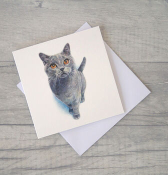 Illustrated Cat Greetings Card, 2 of 2