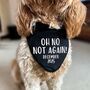 Oh No Not Again Pregnancy Annoucement Dog Bandana, thumbnail 1 of 6