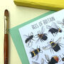 Bees Of Britain Art Blank Greeting Card, thumbnail 10 of 10