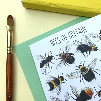 Bees Of Britain Art Blank Greeting Card, 10 of 10