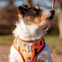 Orange Cartoon Adjustable Dog Harness, thumbnail 9 of 12