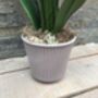 White Artificial Silk Orchid Grey Pot Mothers Day Gift, thumbnail 4 of 6