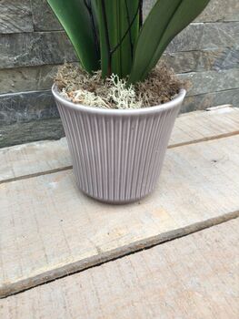 White Artificial Silk Orchid Grey Pot Mothers Day Gift, 4 of 6