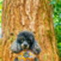 Woodland Badger Dog Harness, thumbnail 12 of 12