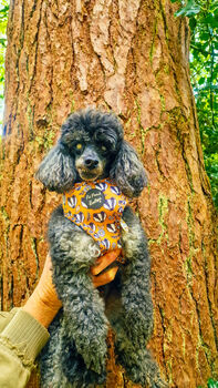 Woodland Badger Dog Harness, 12 of 12