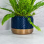 Midnight Peak Planter, thumbnail 4 of 4