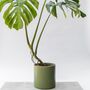 Handmade Eco Plant Pot | Dark Olive Green, thumbnail 5 of 6