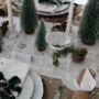 Winter Wonderland Festive Christmas Tablescape, thumbnail 9 of 11