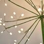 Solar LED Dandelion Stake Light Small, thumbnail 3 of 4