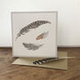 Watercolour Feather Blank Art Cards Gift Set, thumbnail 4 of 5