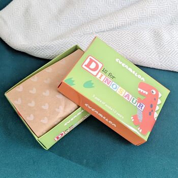 Dinosaur Baby Socks Gift Box, 2 of 3