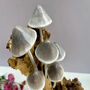 30cm Handcrafted Wooden Ink Cap Mushroom Statue Ornament Nature Gift On Teak Root, thumbnail 4 of 6