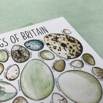 Bird Eggs Of Britain Art Blank Greeting Card, 9 of 12