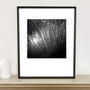 Water Reeds, Lopham Fen Photographic Art Print, thumbnail 1 of 4