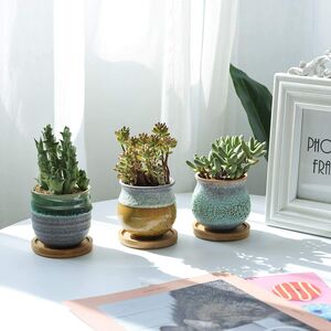 Personalised Plant Pots and Planters | notonthehighstreet.com
