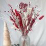 Christmas Dried Flower Arrangement With Vase, thumbnail 4 of 4