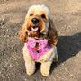 Dog Harness | Pink Princess, thumbnail 8 of 12