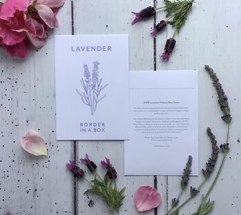 Grow Your Own Lavender, 3 of 5