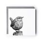Wren Bird – Hand Drawn Nature Greeting Card Illustration, thumbnail 2 of 6