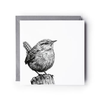 Wren Bird – Hand Drawn Nature Greeting Card Illustration, 2 of 6