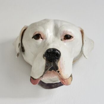 Wall Mounted Pet Head Sculpture, 4 of 9