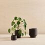 Black Porcelain Clay Plant Pot, thumbnail 4 of 5