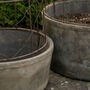 Margaux Domed Planter Collection, thumbnail 2 of 3