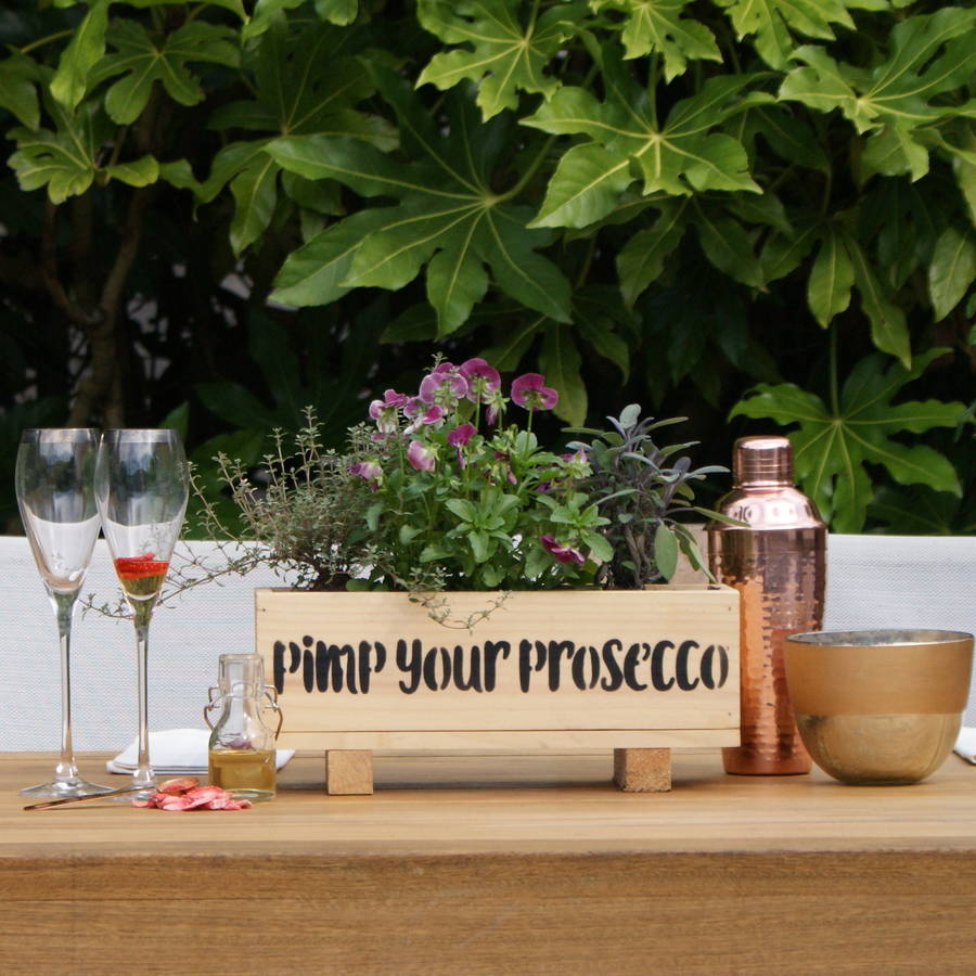 prosecco garden windowsill planter and growing kit by plant and grow ...