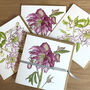 Winter Hellebore Watercolour Botanical Cards, thumbnail 1 of 2