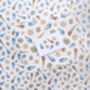 Sea Shell Wrapping Paper, thumbnail 1 of 3