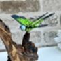 Handcrafted Emperor Dragonfly Wooden Sculpture Ornament, thumbnail 8 of 10