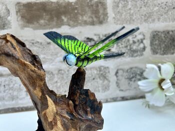 Handcrafted Emperor Dragonfly Wooden Sculpture Ornament, 8 of 10