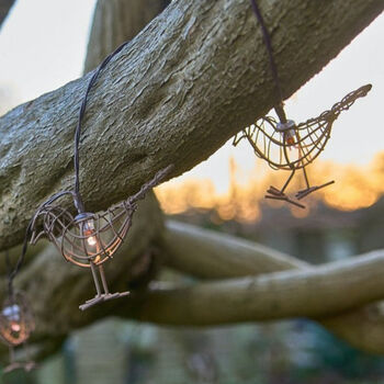 Solar Robin Light Chain, 3 of 3