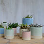 Handmade Ceramic Plant Pots Set Of Two Or Three, thumbnail 1 of 9