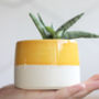 'What A Beautiful Day' Ceramic Indoor Plant Pot, thumbnail 1 of 9