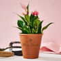 Personalised Teacher Gift Plant Pot, thumbnail 2 of 4