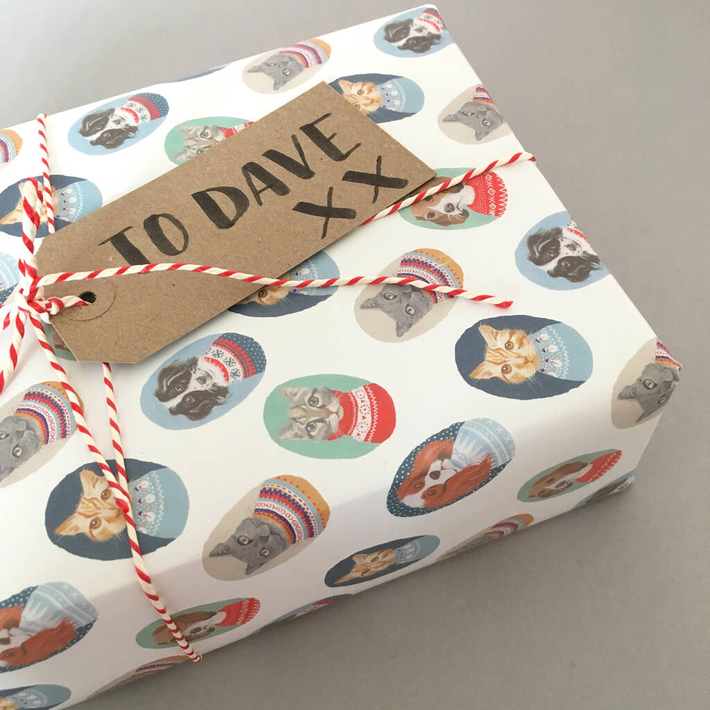 dogs and cats in christmas jumpers wrapping paper by rebecca